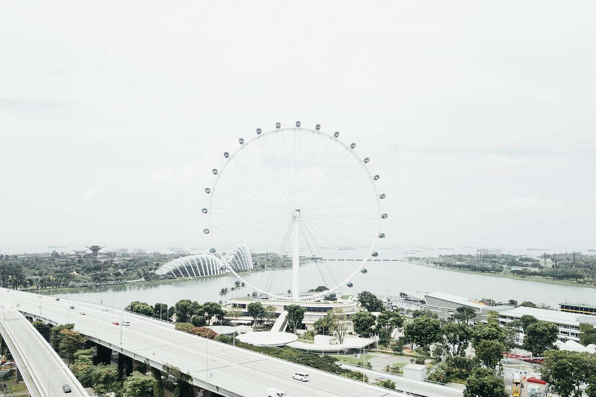 amusement park white ferris wheel beside body of water leisure activities